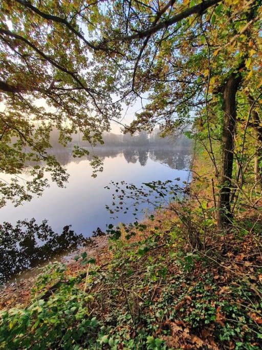 Ferienhaus Blauer See Mit Optionalem Hot-Tub Bockhorn  Buitenkant foto