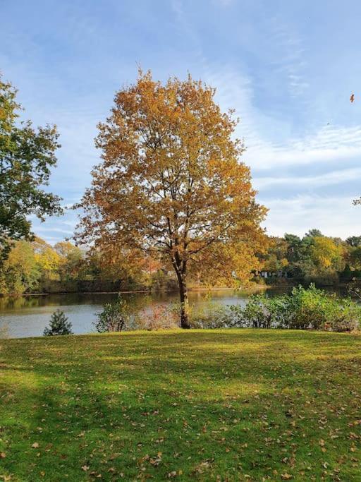 Ferienhaus Blauer See Mit Optionalem Hot-Tub Bockhorn  Buitenkant foto