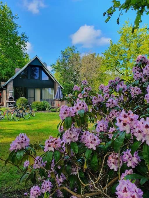 Ferienhaus Blauer See Mit Optionalem Hot-Tub Bockhorn  Buitenkant foto