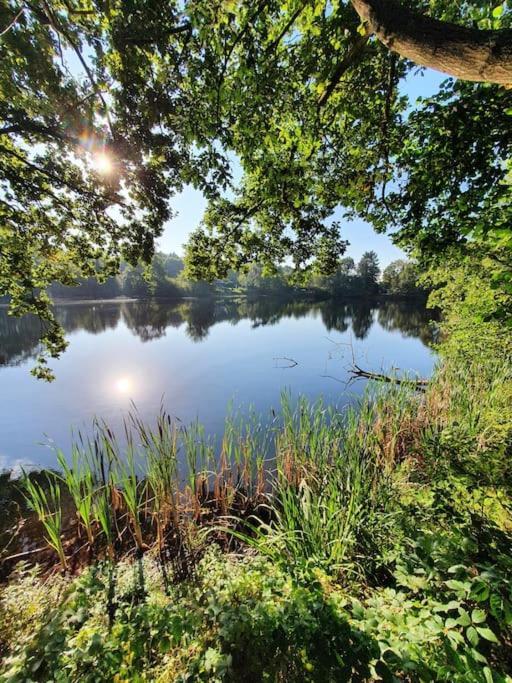 Ferienhaus Blauer See Mit Optionalem Hot-Tub Bockhorn  Buitenkant foto