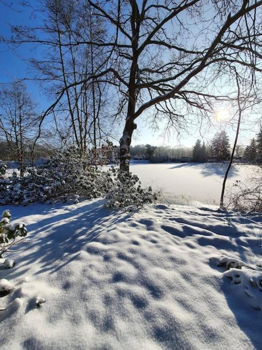 Ferienhaus Blauer See Mit Optionalem Hot-Tub Bockhorn  Buitenkant foto